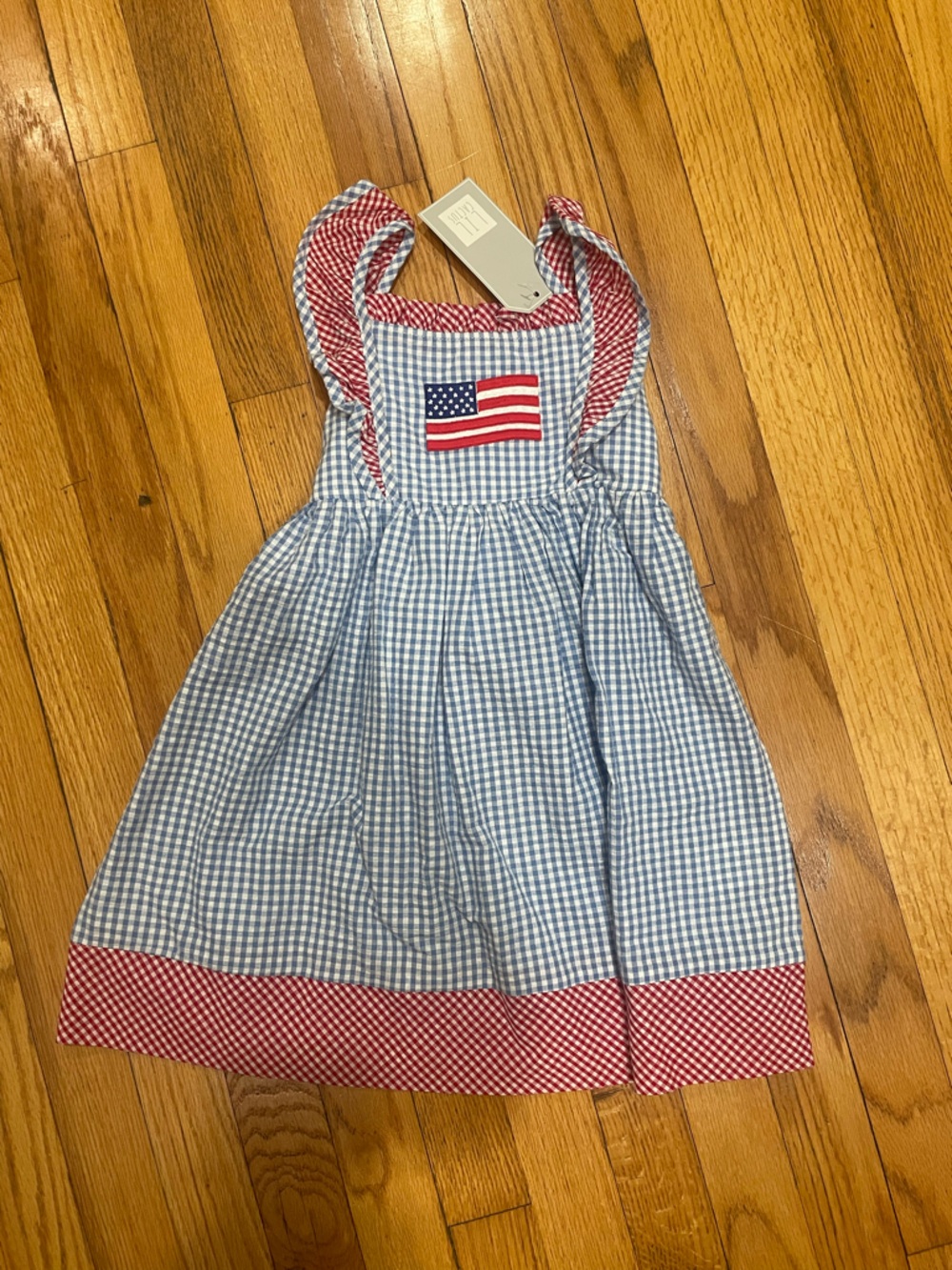 Cactus Red and Blue Gingham Girls Sundress